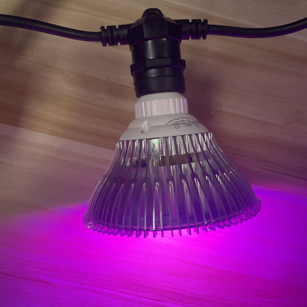 Kabel LED 10M Kelas Komersial  - Outdoor Lighting Permanent ulasan dan harga